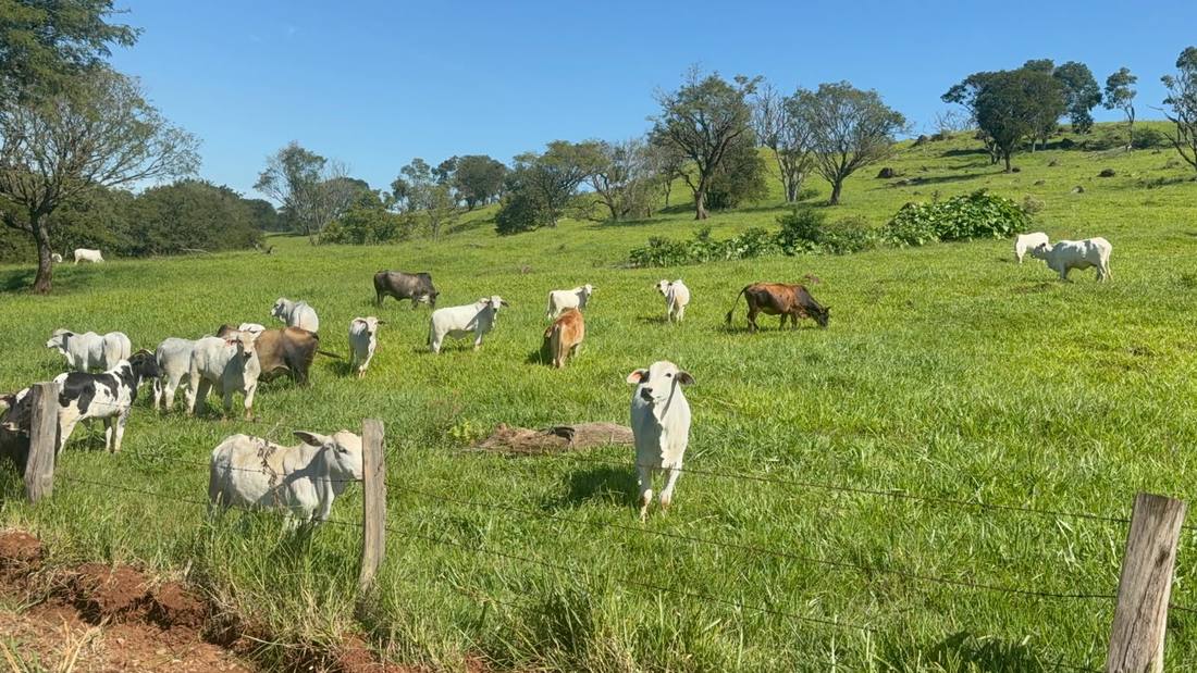 Traceability and International Compliance